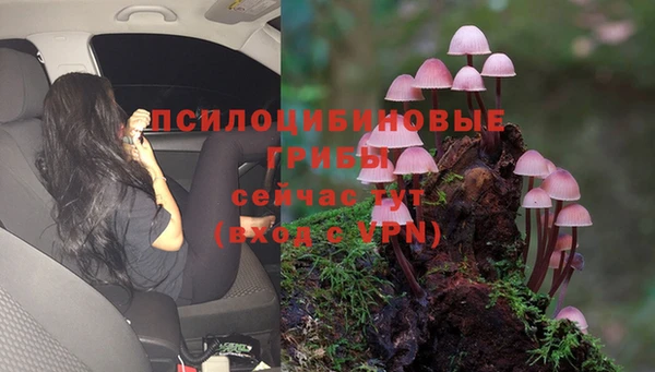 дурь Покровск