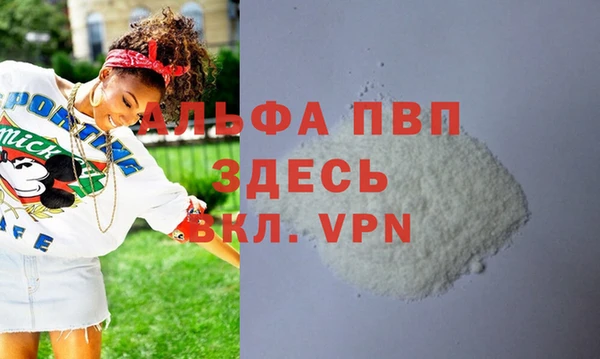 спайс Покачи