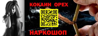 соль ск Новозыбков