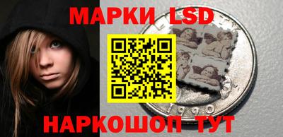 соль ск Новозыбков