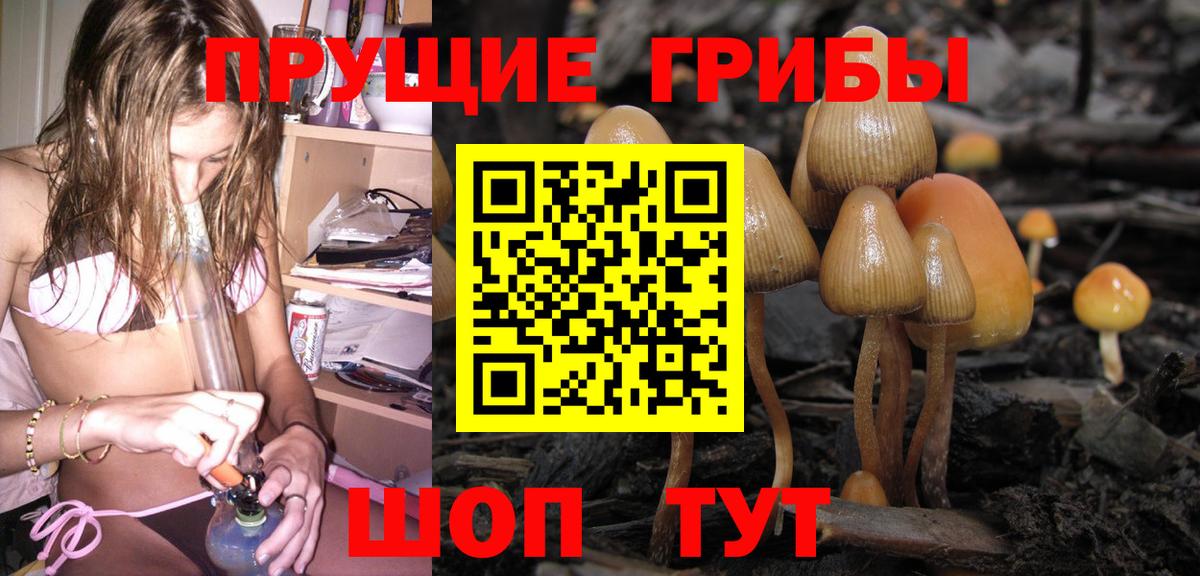 Рассказово  как найти закладки  Вход с VPN  Галлюциногенные грибы Magic Shrooms 